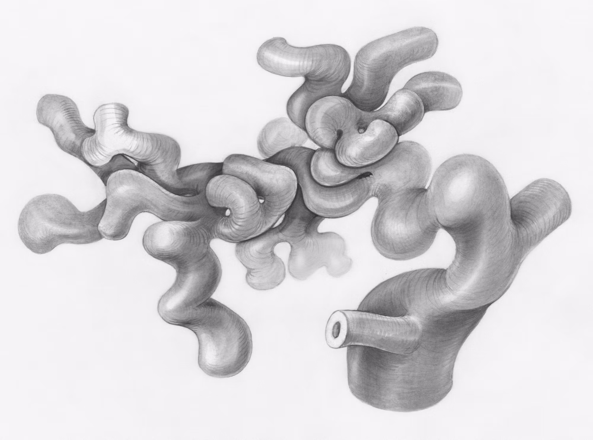 The Future of Telemedicine: Transforming Healthcare in the Digital Age